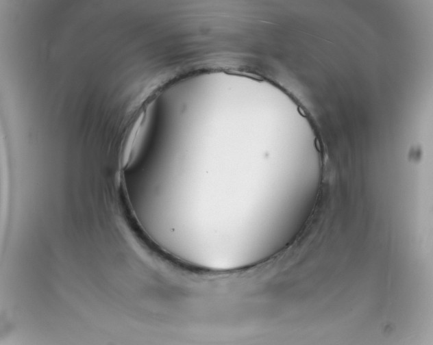 X0000090450013200707272225