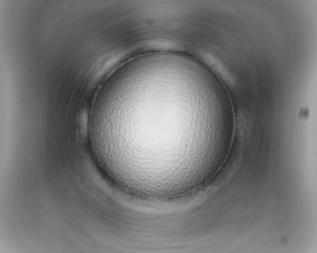 X0000090450014200707272225