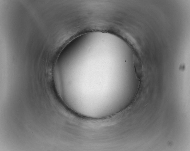 X0000090450017200707272225