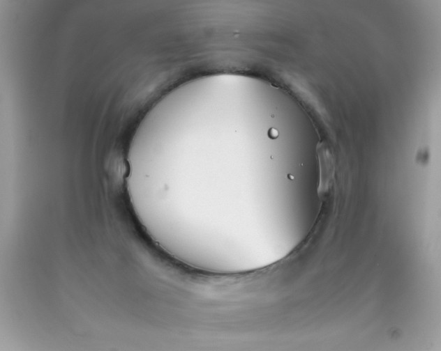 X0000090450021200707272225