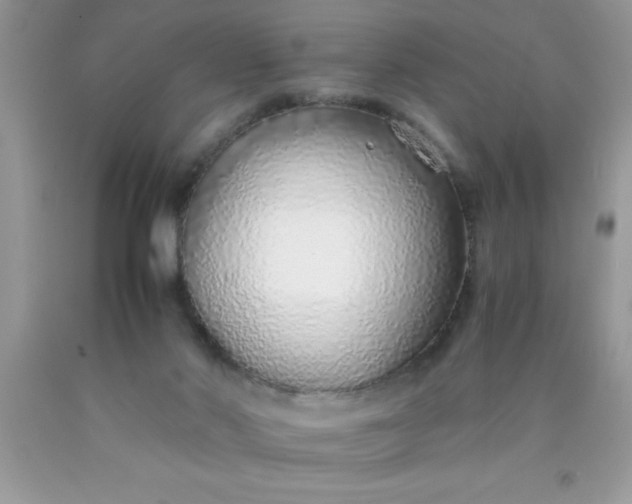 X0000090450022200707272225