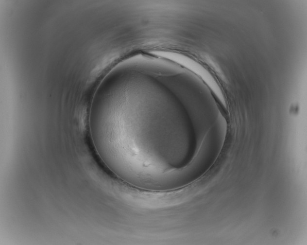 X0000090450023200707272225