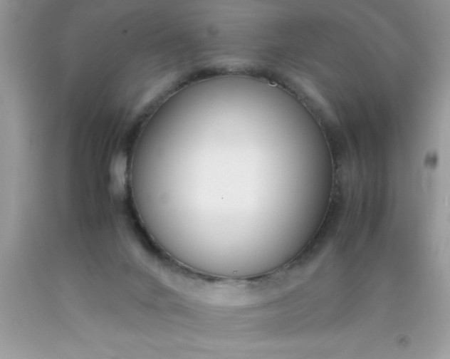 X0000090450024200707272225