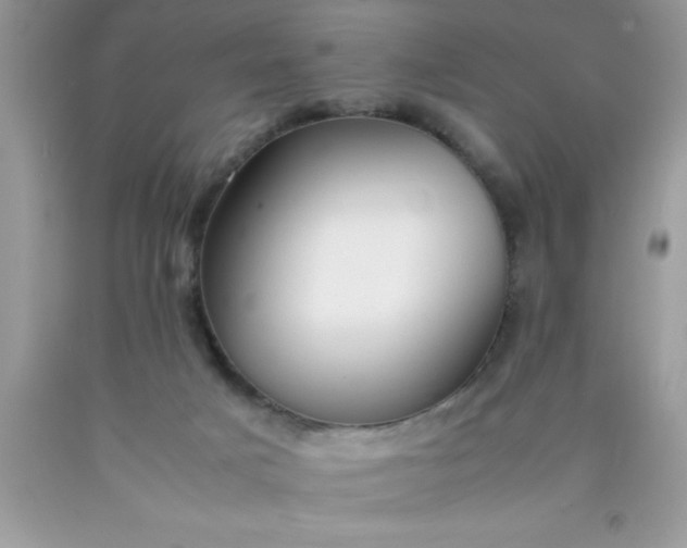 X0000090450025200707272225