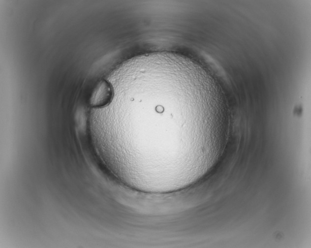 X0000090450026200707272225