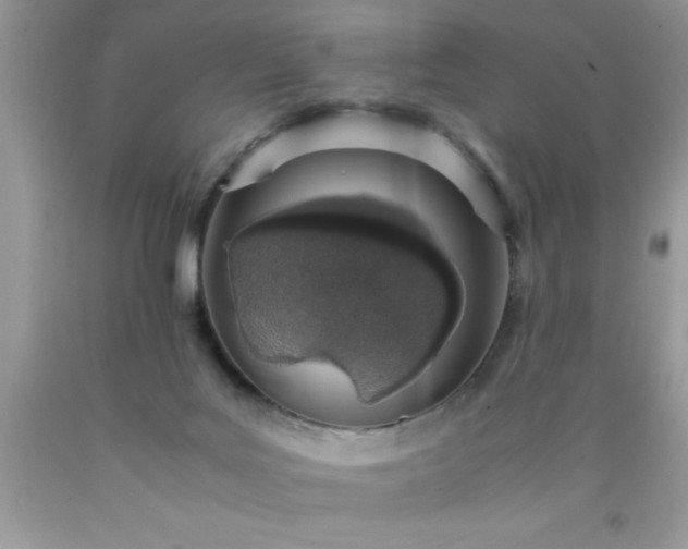 X0000090450027200707272225