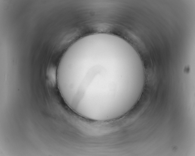 X0000090450028200707272225