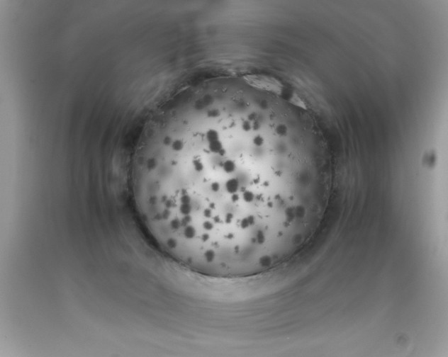 X0000090450030200707272225