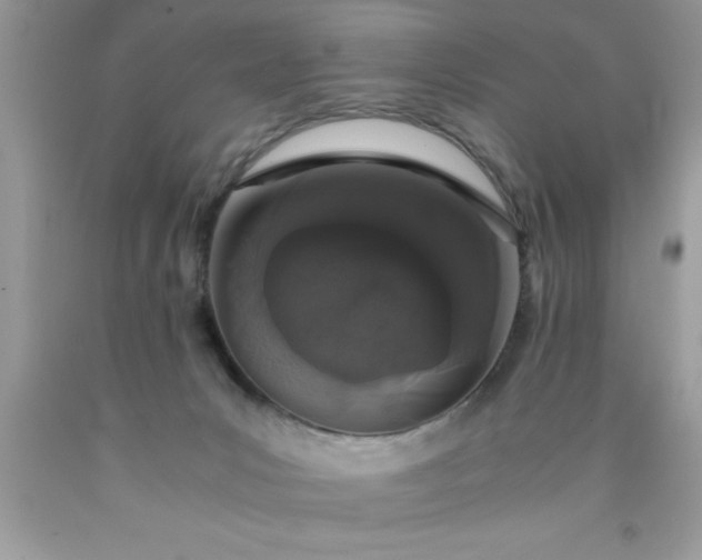 X0000090450031200707272225