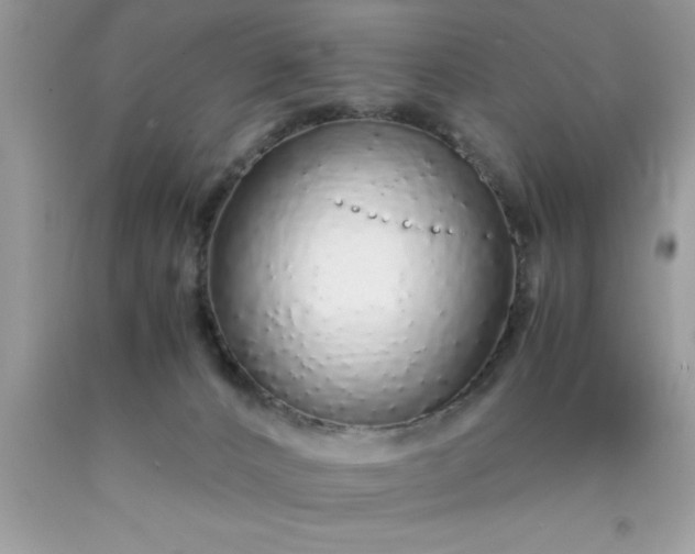 X0000090450032200707272225