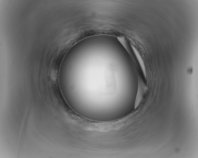 X0000090450033200707272225