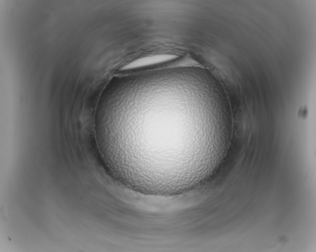 X0000090450034200707272225