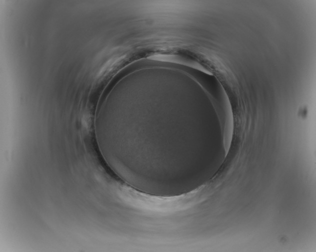 X0000090450035200707272225