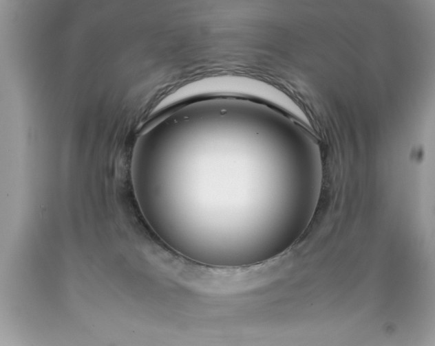 X0000090450037200707272225