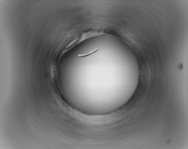 X0000090450038200707272225