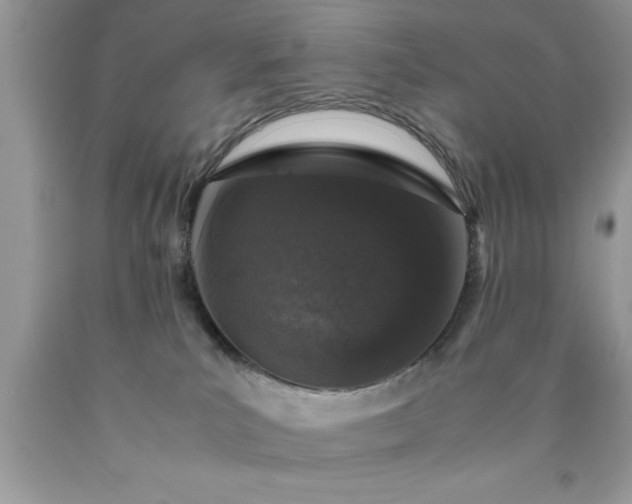 X0000090450039200707272225