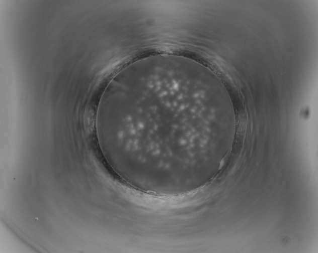 X0000090450043200707272225