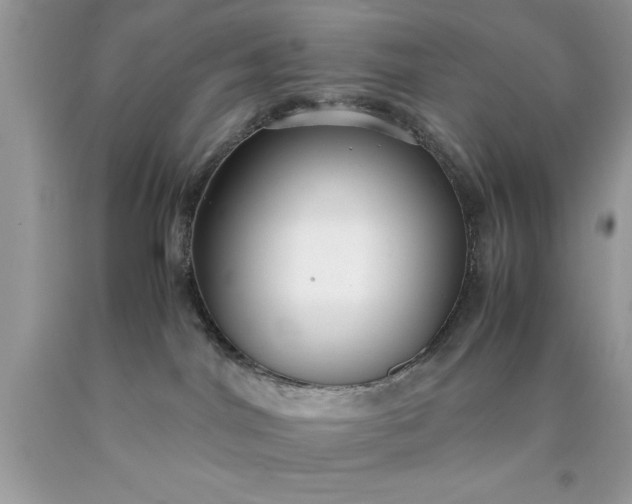 X0000090450044200707272225