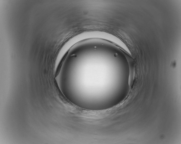 X0000090450045200707272225