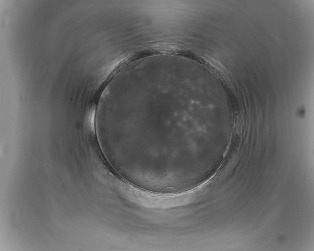 X0000090450047200707272225