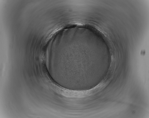 X0000090450048200707272225