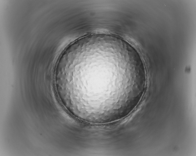 X0000090450049200707272224