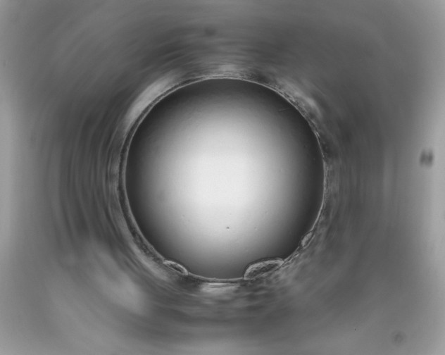 X0000090450051200707272224