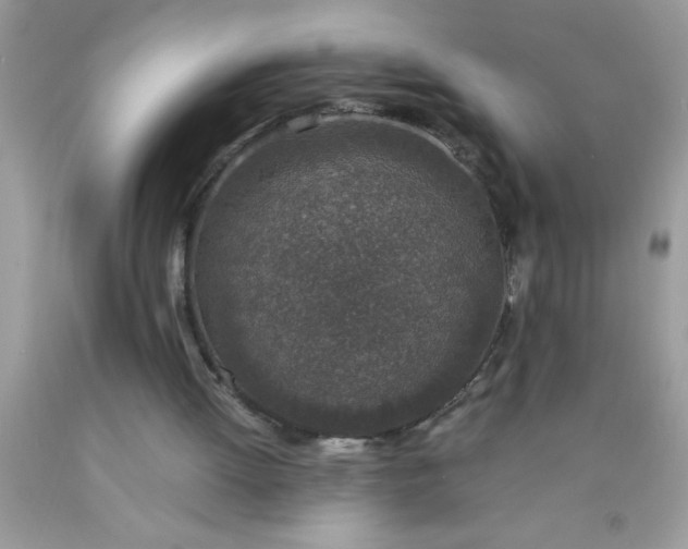 X0000090450052200707272224