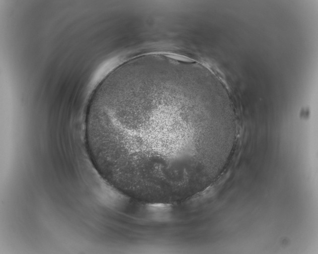 X0000090450053200707272224