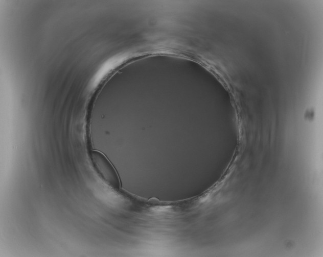 X0000090450054200707272224