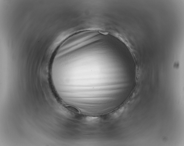 X0000090450055200707272224