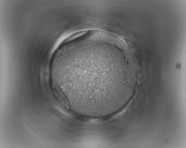 X0000090450056200707272224