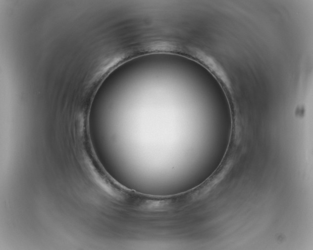 X0000090450057200707272224