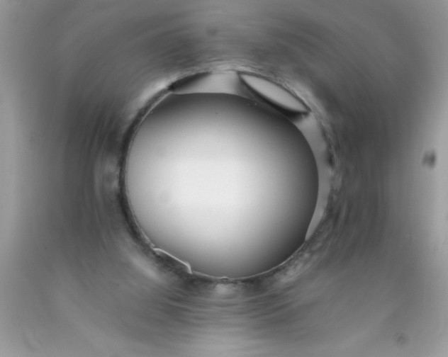 X0000090450060200707272224