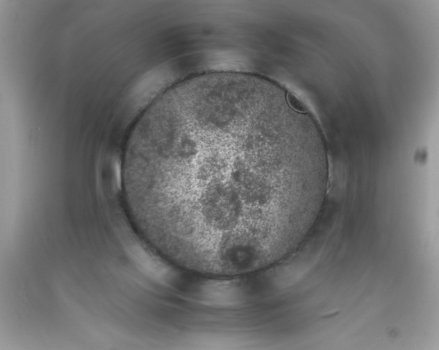 X0000090450061200707272224