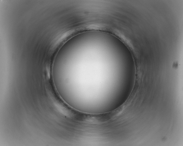 X0000090450062200707272224