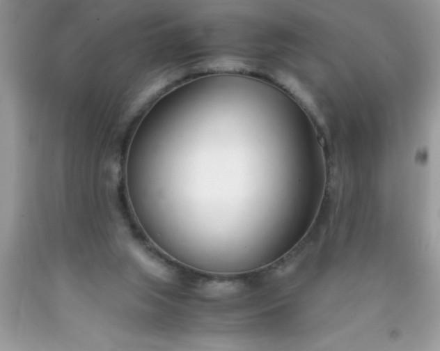 X0000090450063200707272224