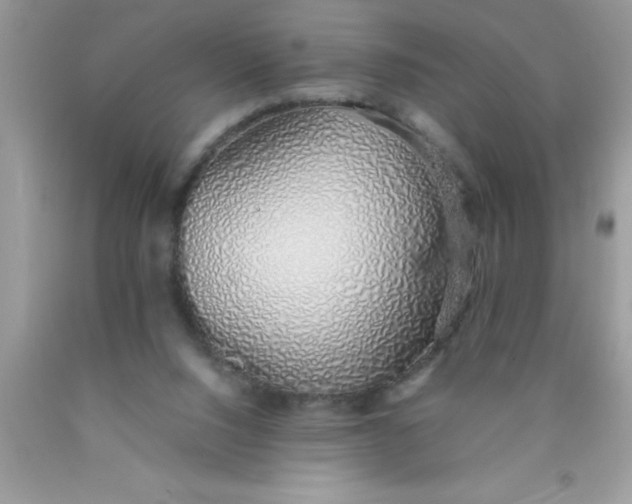 X0000090450064200707272224