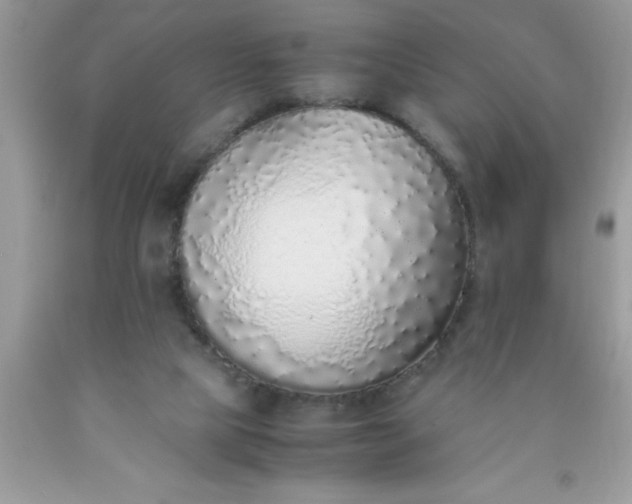 X0000090450065200707272224