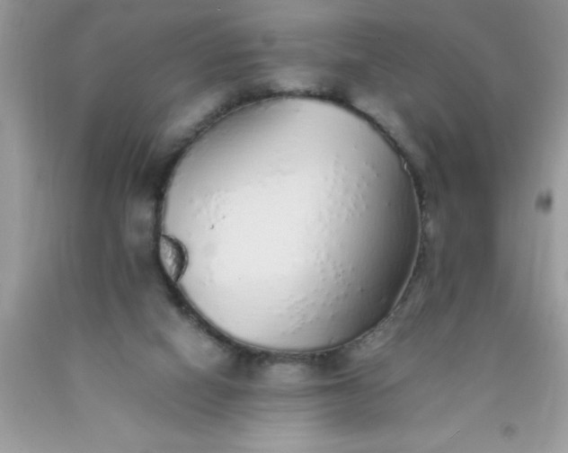 X0000090450066200707272224