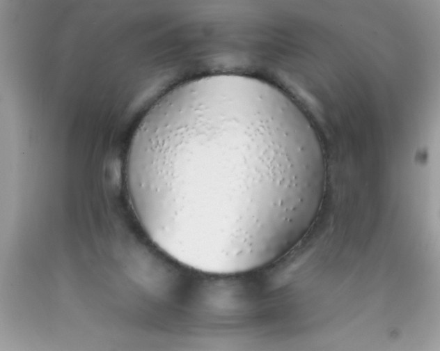 X0000090450067200707272224