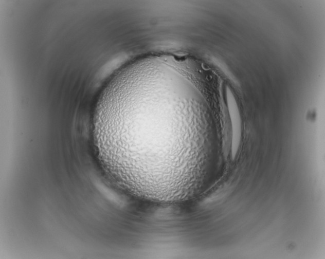 X0000090450068200707272224