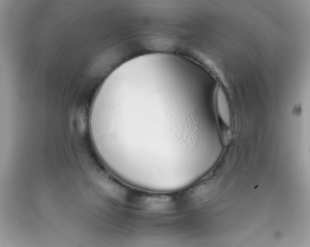 X0000090450069200707272224