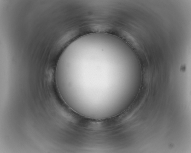 X0000090450071200707272224