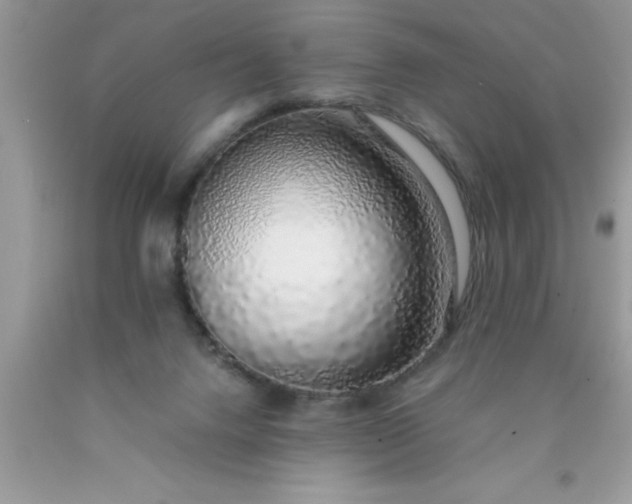 X0000090450072200707272224