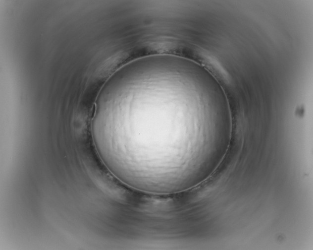 X0000090450073200707272224