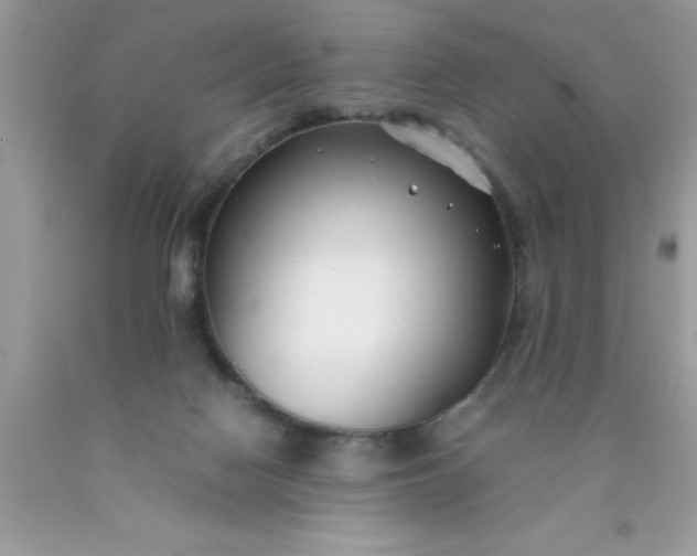 X0000090450074200707272224