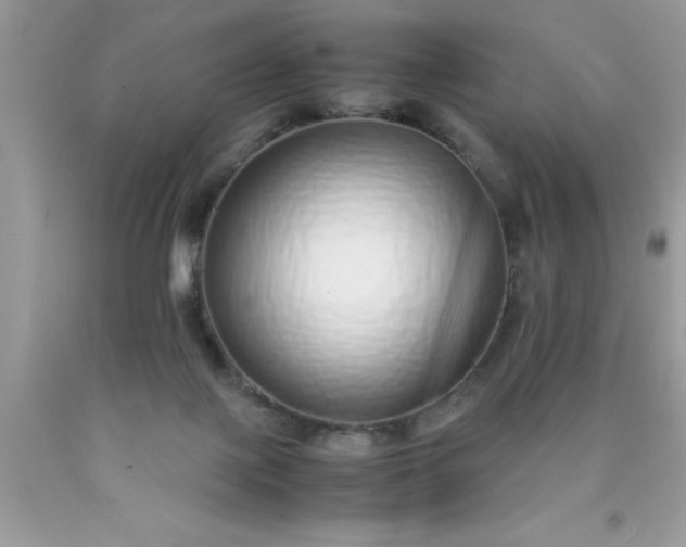 X0000090450075200707272224