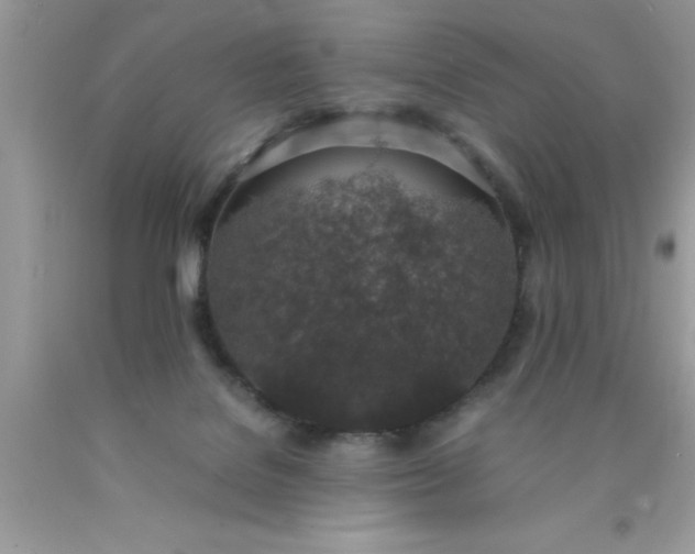 X0000090450076200707272224