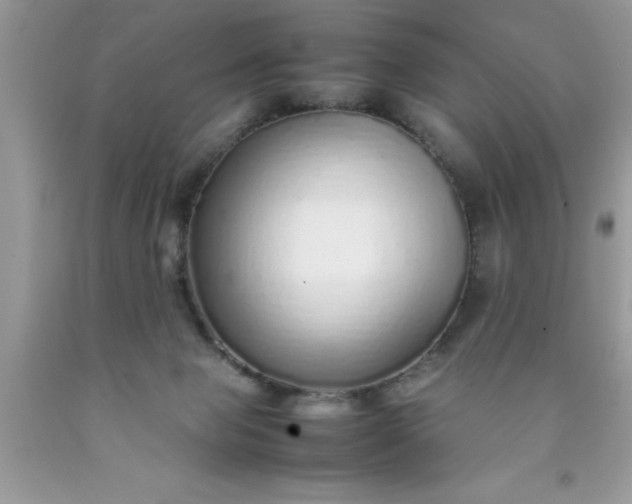 X0000090450077200707272224